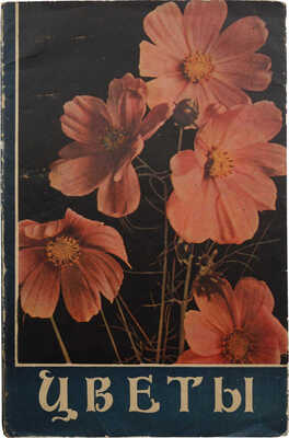 Цветы. Каталог семян / Худож.-оформ. В.Ф. Степанова и В.А. Родченко. М., 1958.